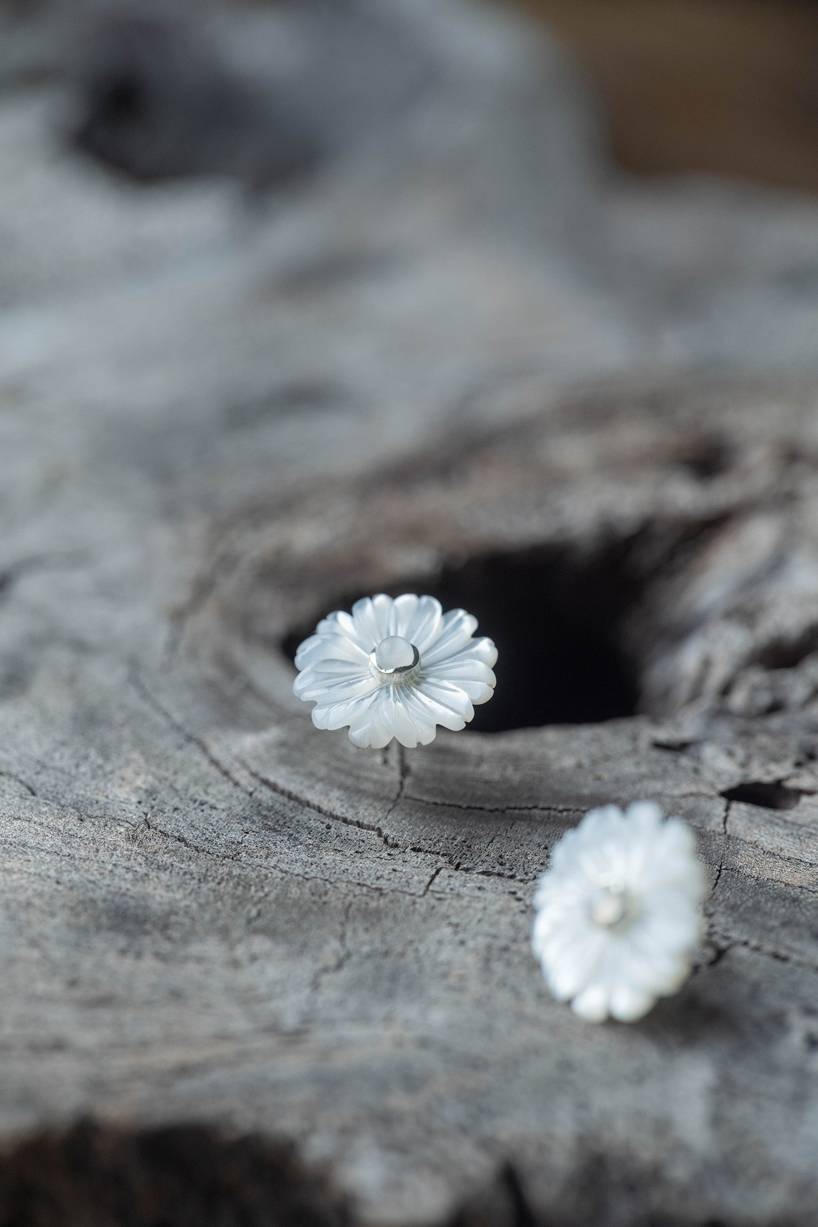 silver earrings pair moonstone +  daisy flower pearl  big