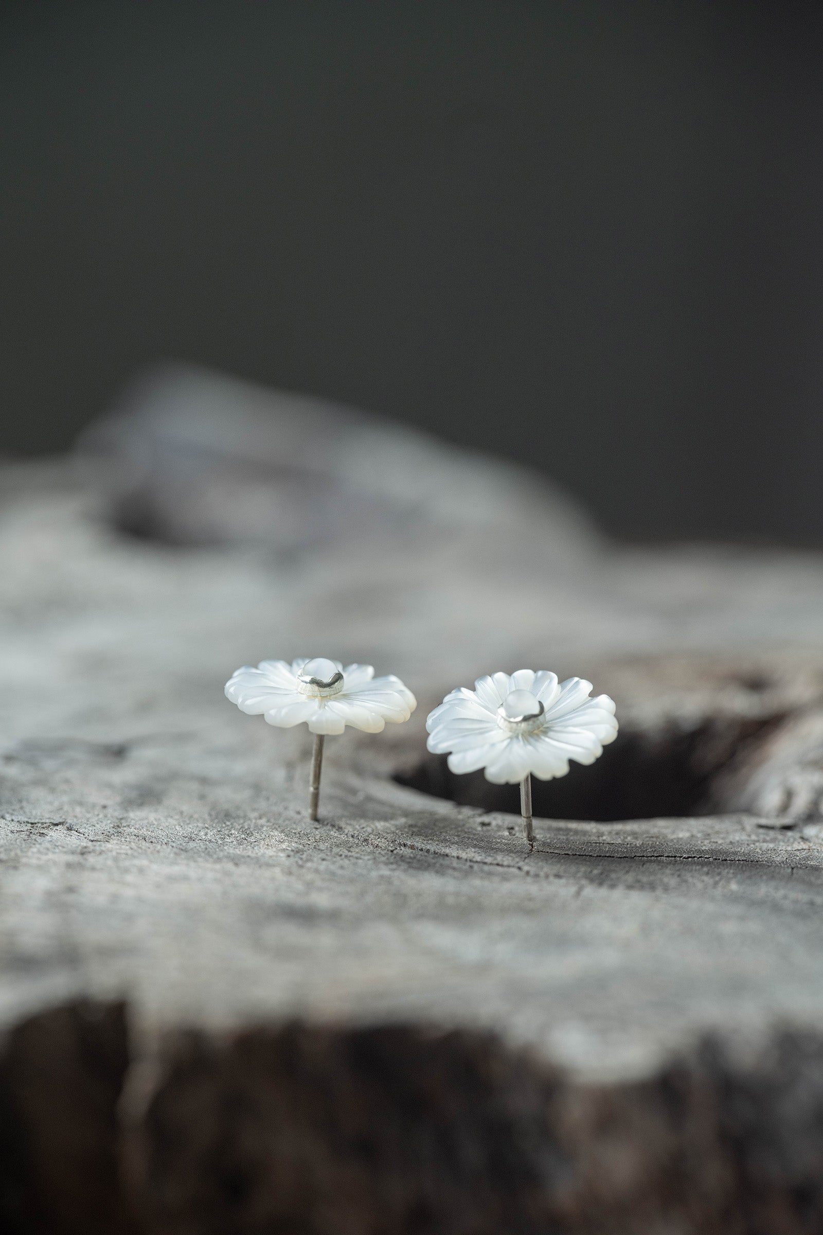 silver earrings pair moonstone +  daisy flower pearl  big