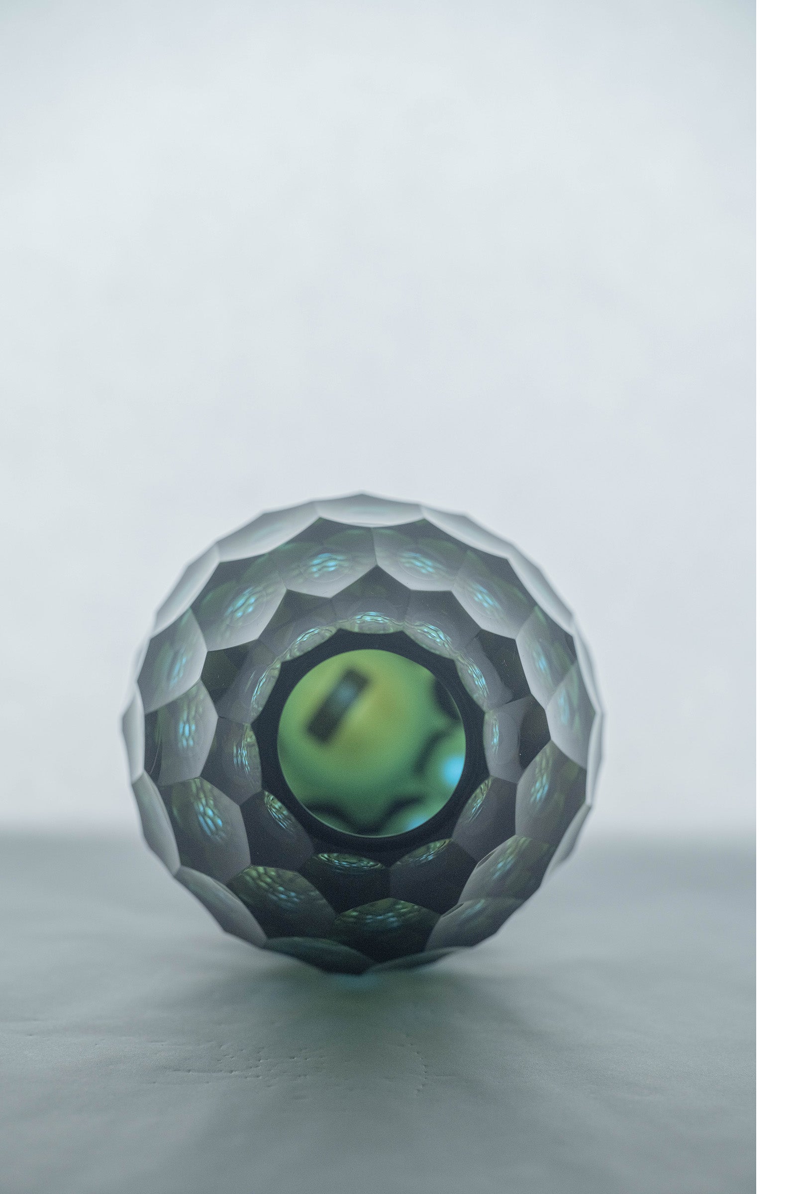 西垣 聡 Seed flower vase 10-k