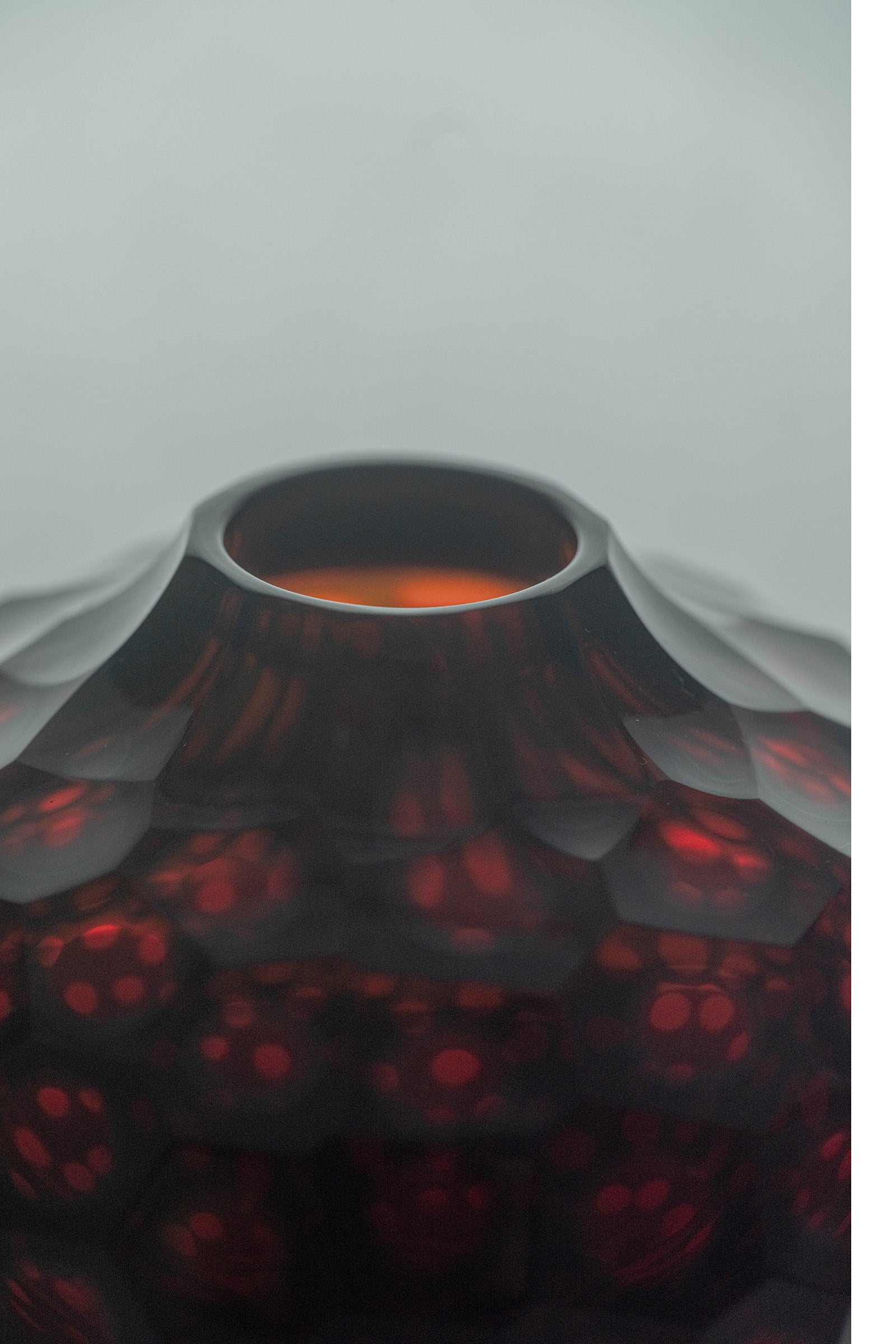 西垣 聡 Seed flower vase 10-L