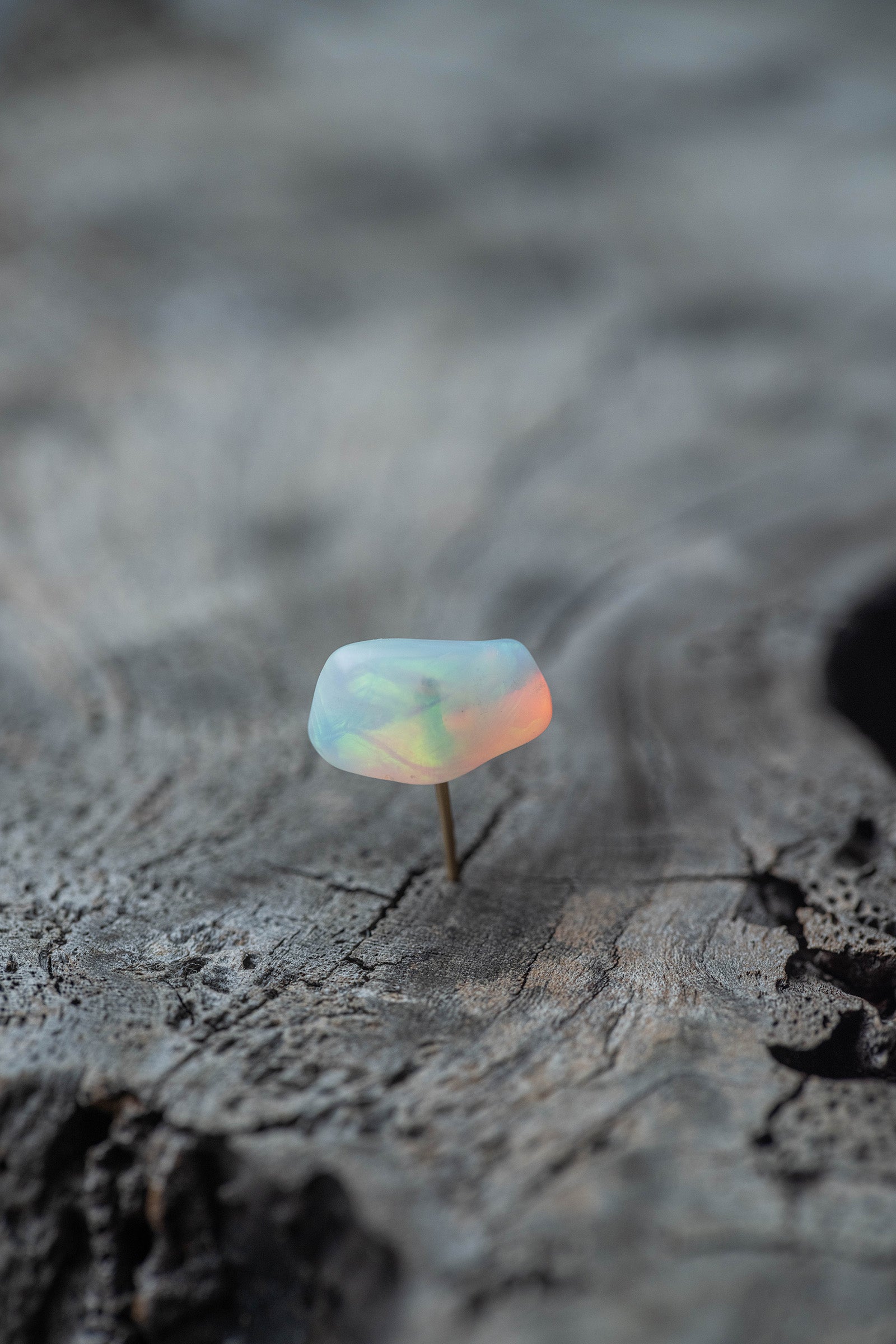 18K earrings single pearl　