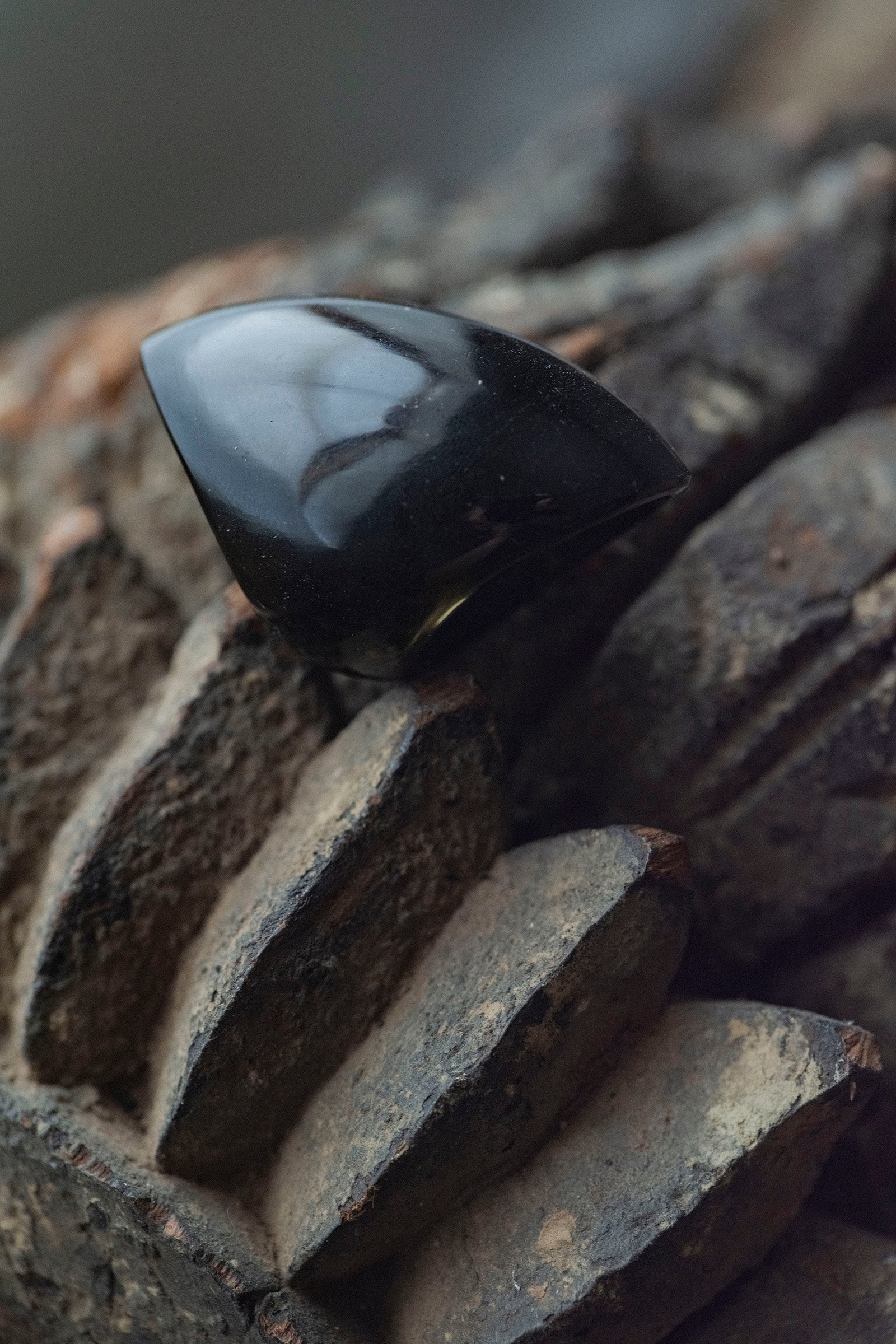 golden  obsidian ring