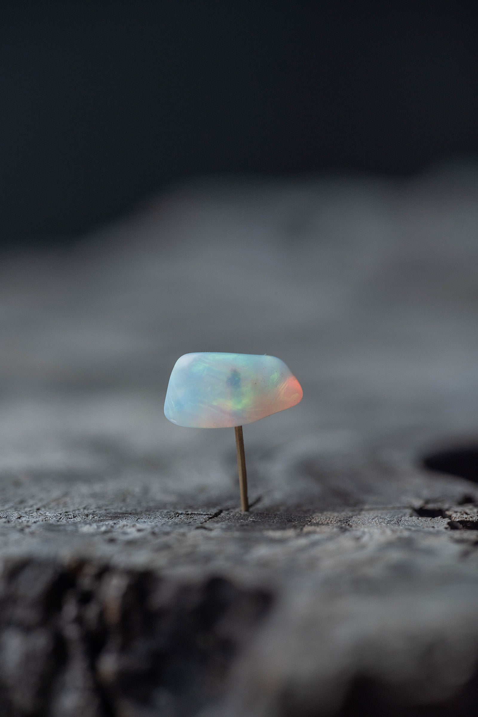 18K earrings single pearl　