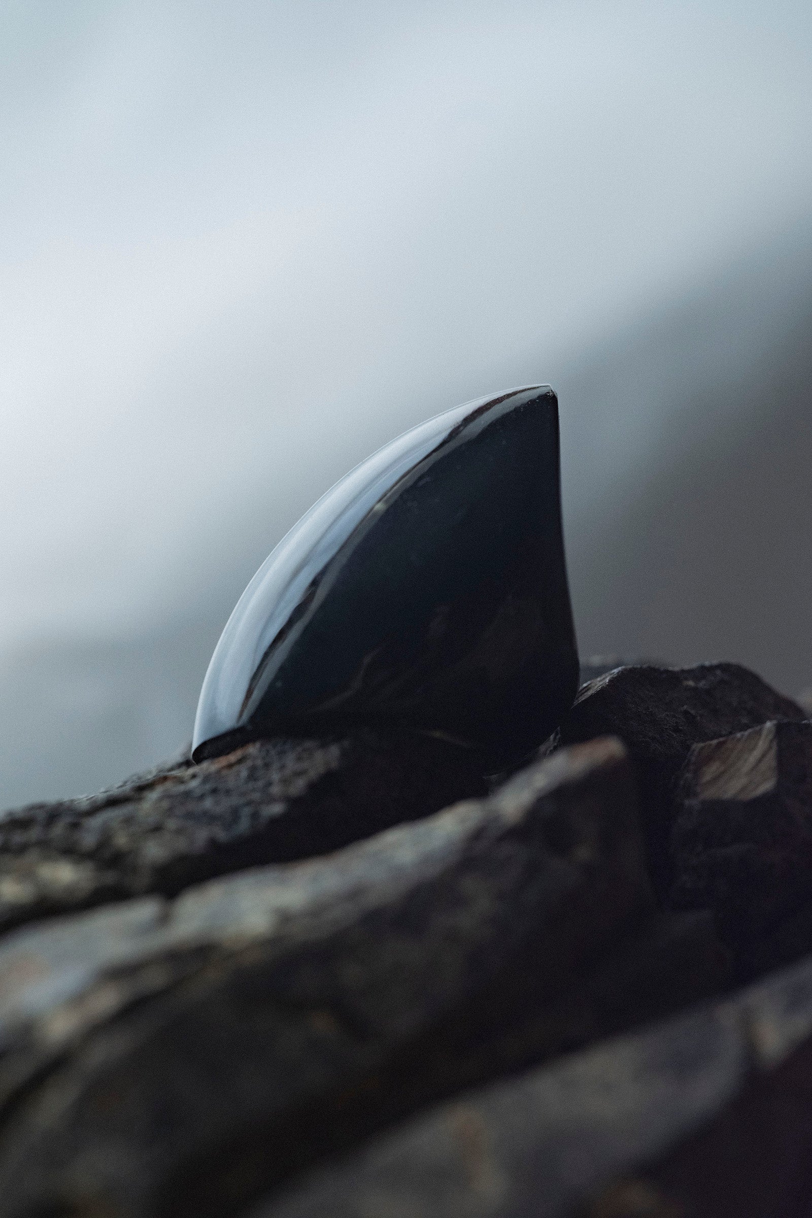 golden  obsidian ring