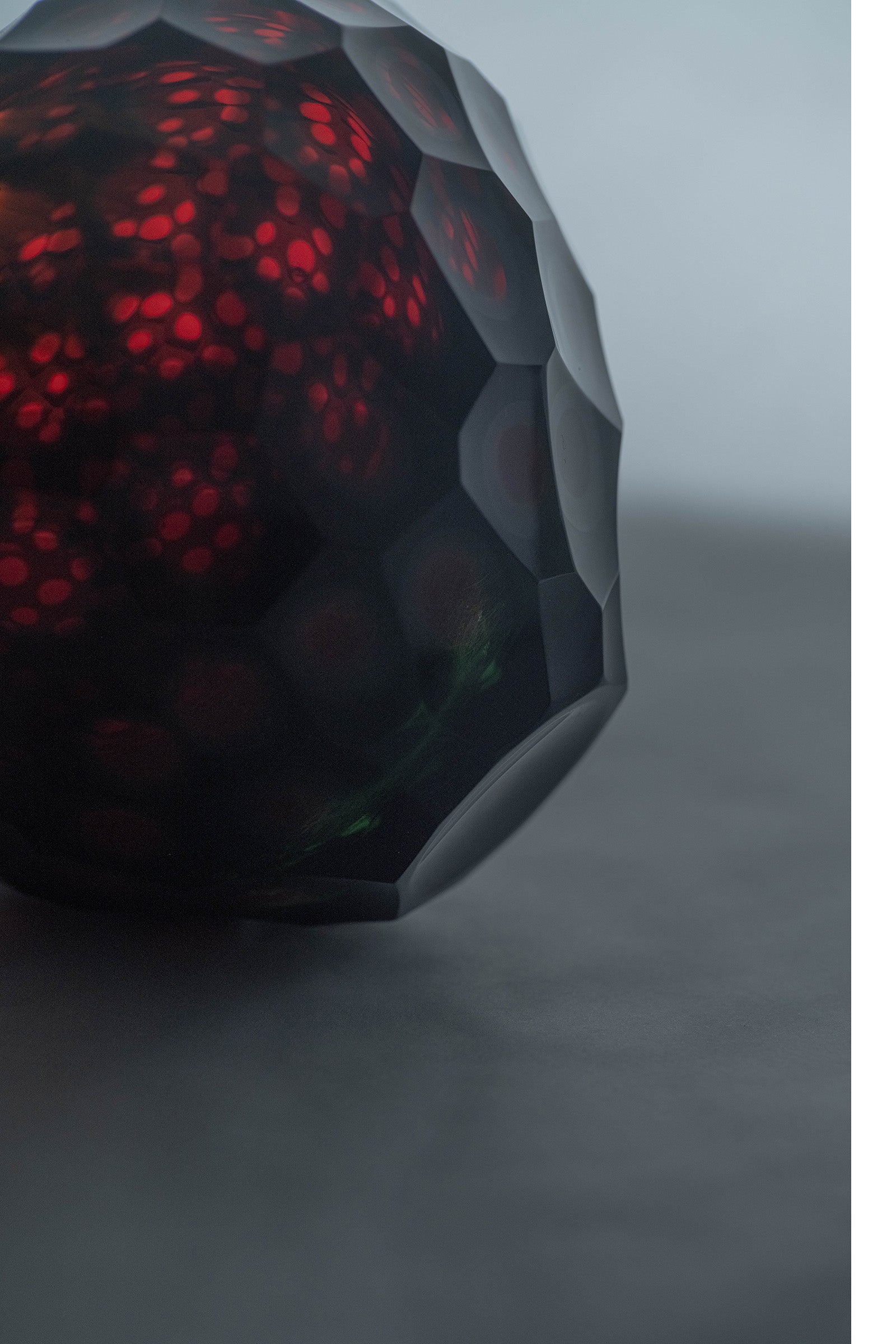 西垣 聡 Seed flower vase 10-L