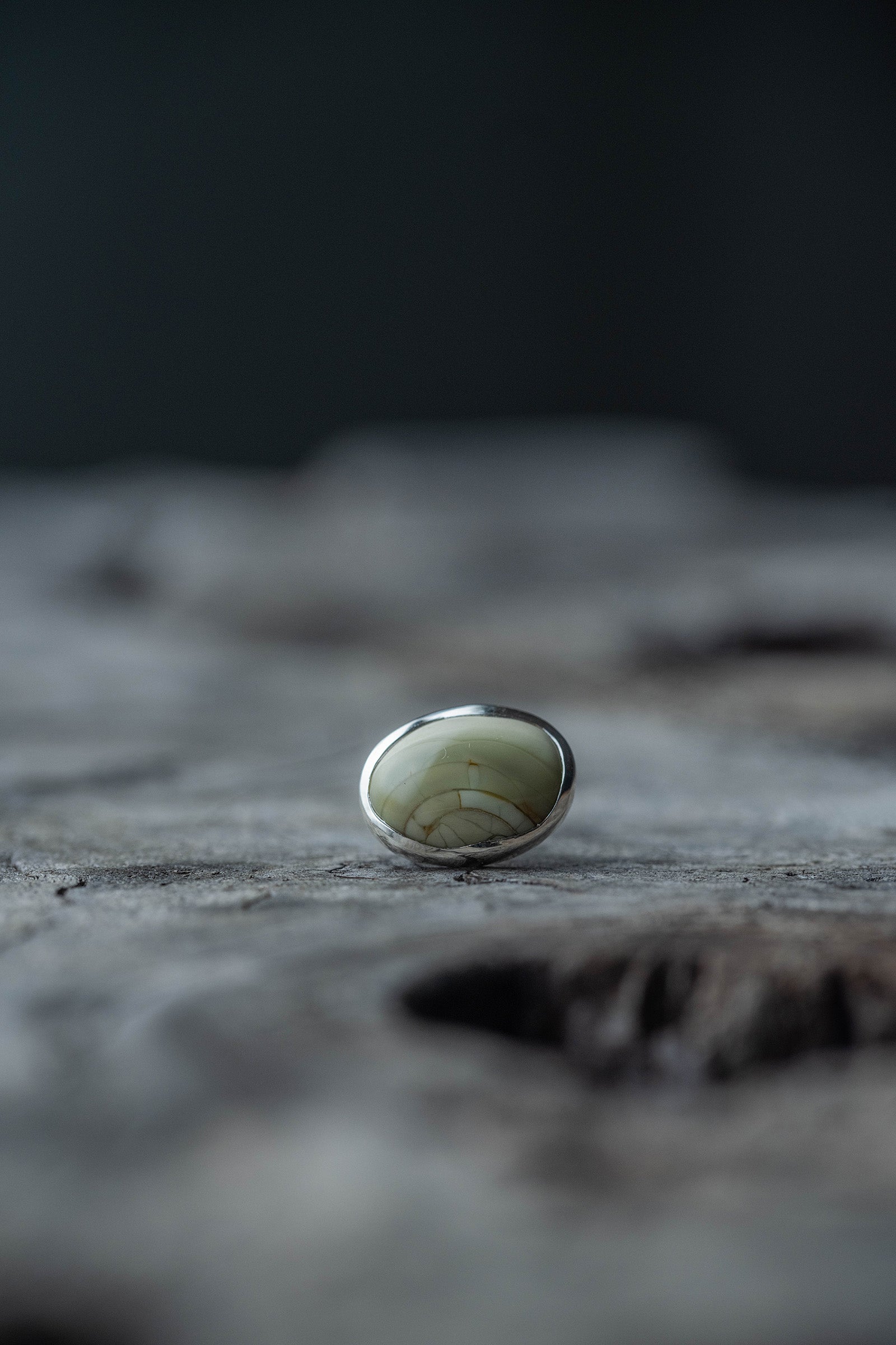 silver earrings single jasper