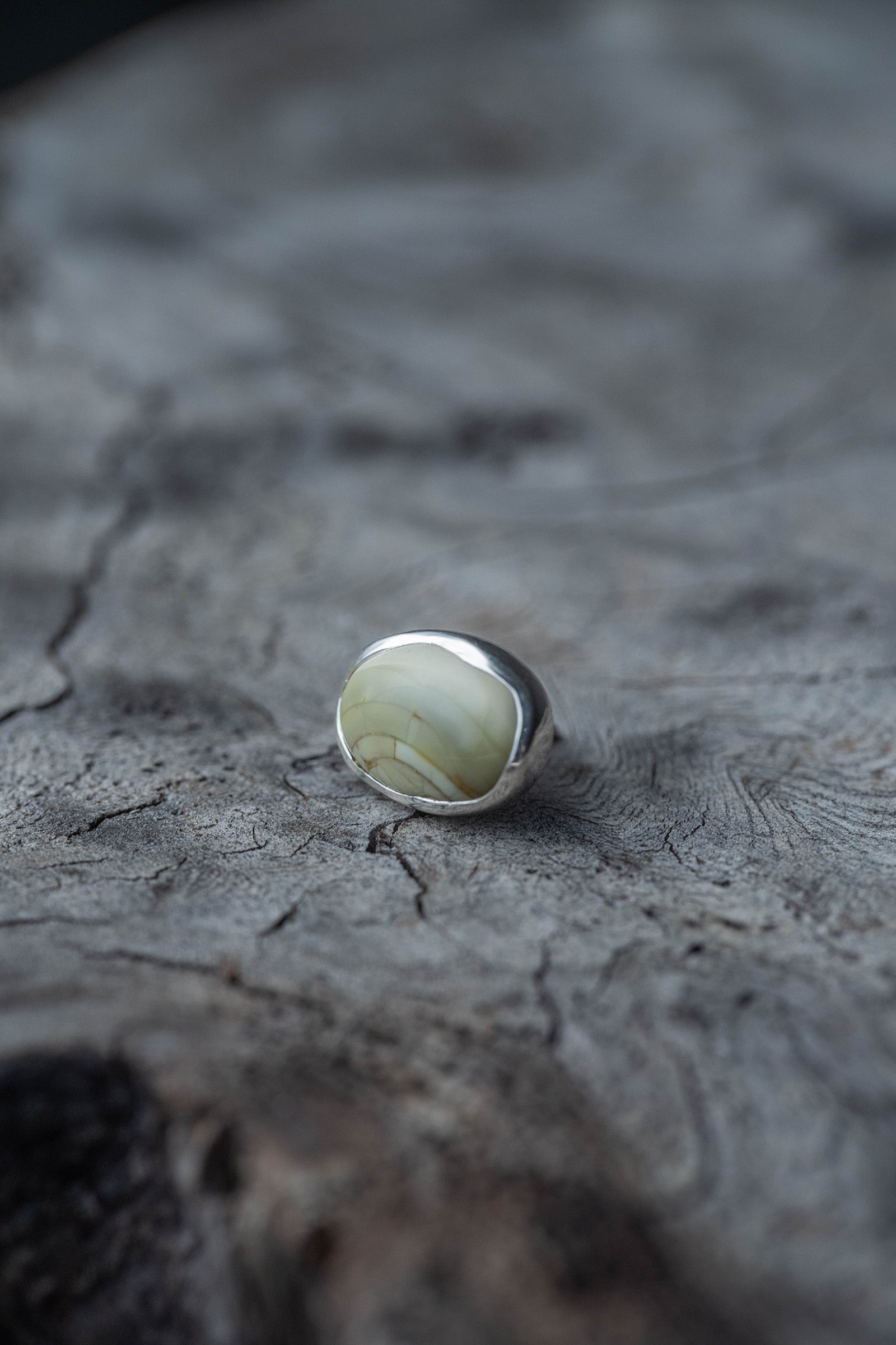 silver earrings single jasper