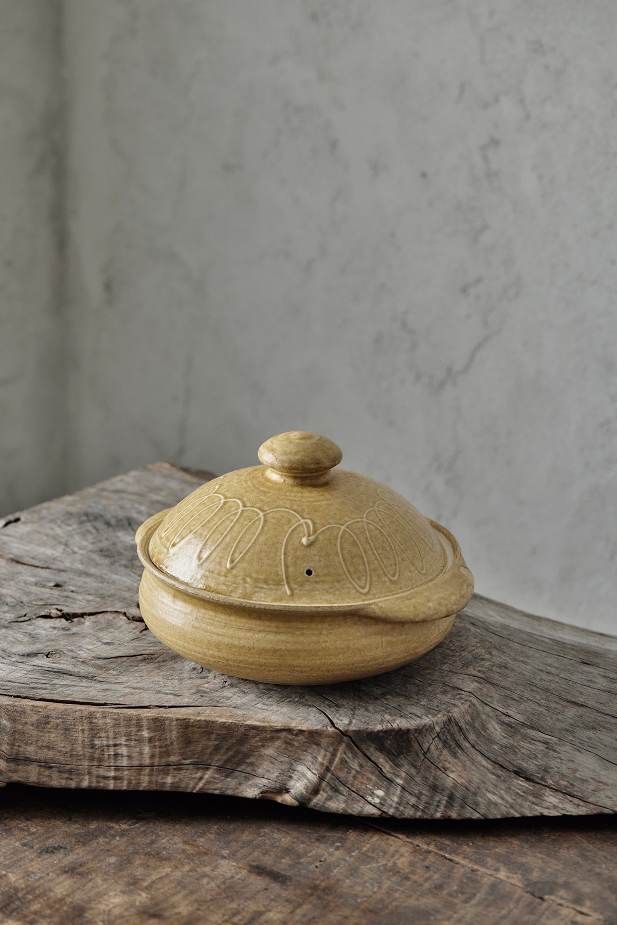 Yoji Yamada Earthenware Pot A Y46-1