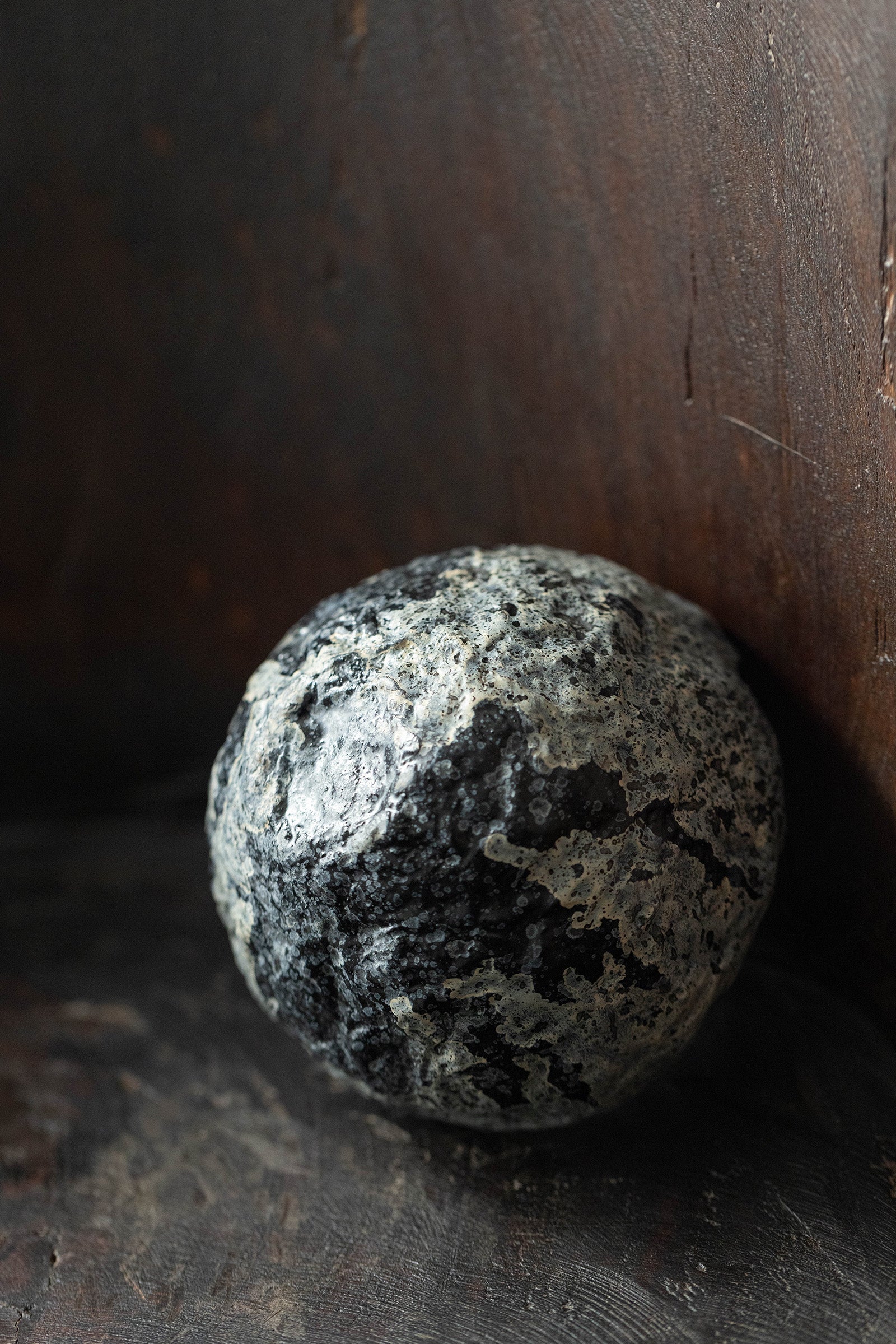 小野友寛 紙麻漆器  鉢M  TO-F4