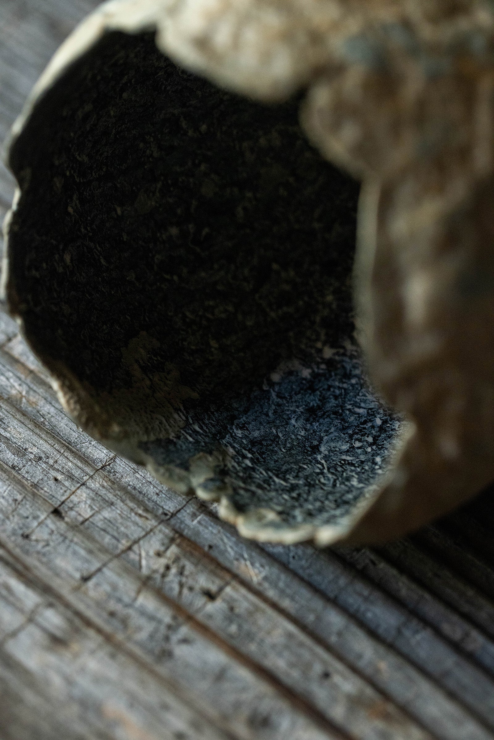 小野友寛  紙麻漆器  球盌M  TO-B13