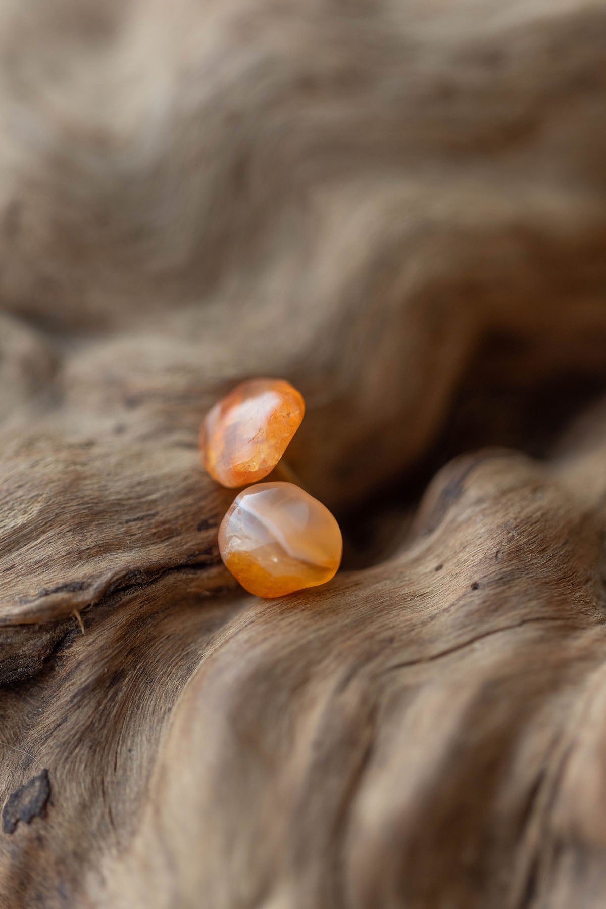 18K carnelian rough stone earrings (pair)
