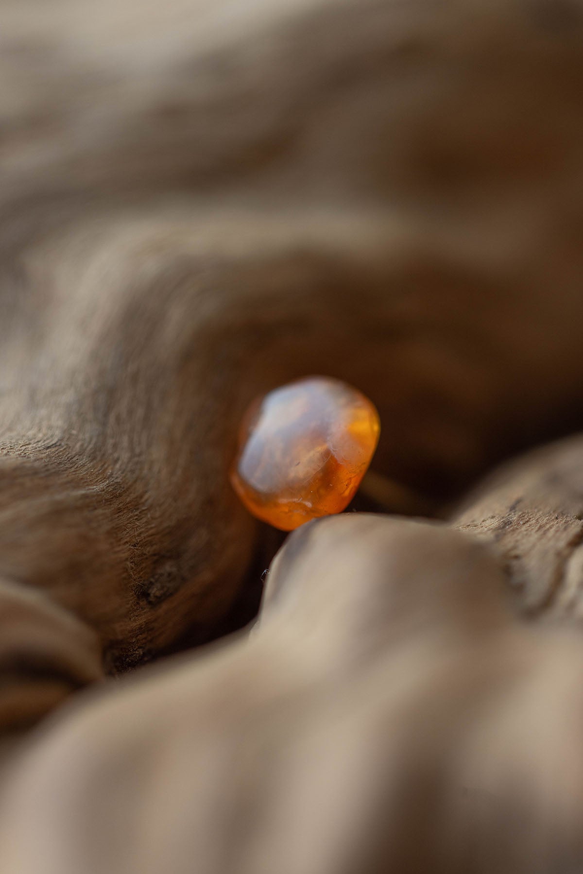 18K carnelian rough stone earrings (pair)
