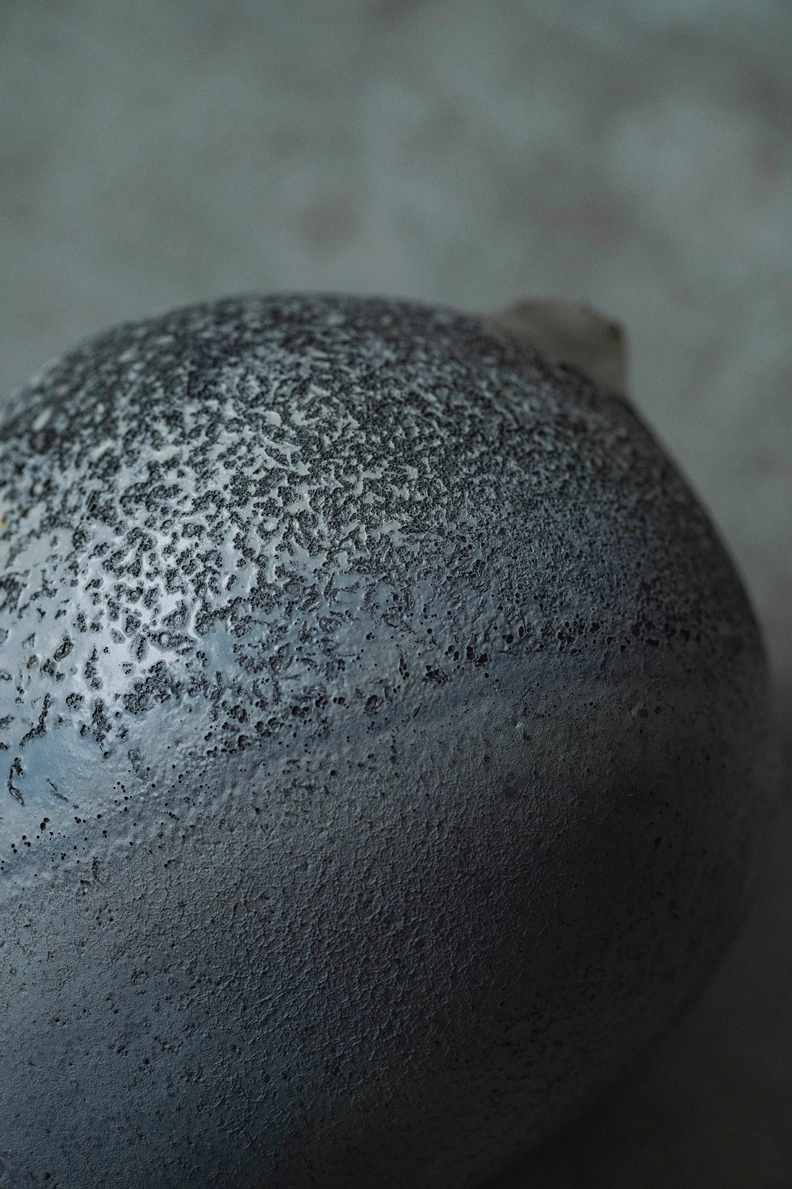 Ryuta Fukumura Silver Carbide Flower Vase 57