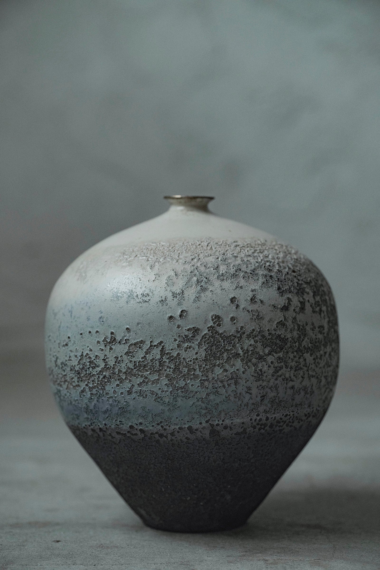 Ryuta Fukumura Silver Carbide Flower Vase 57