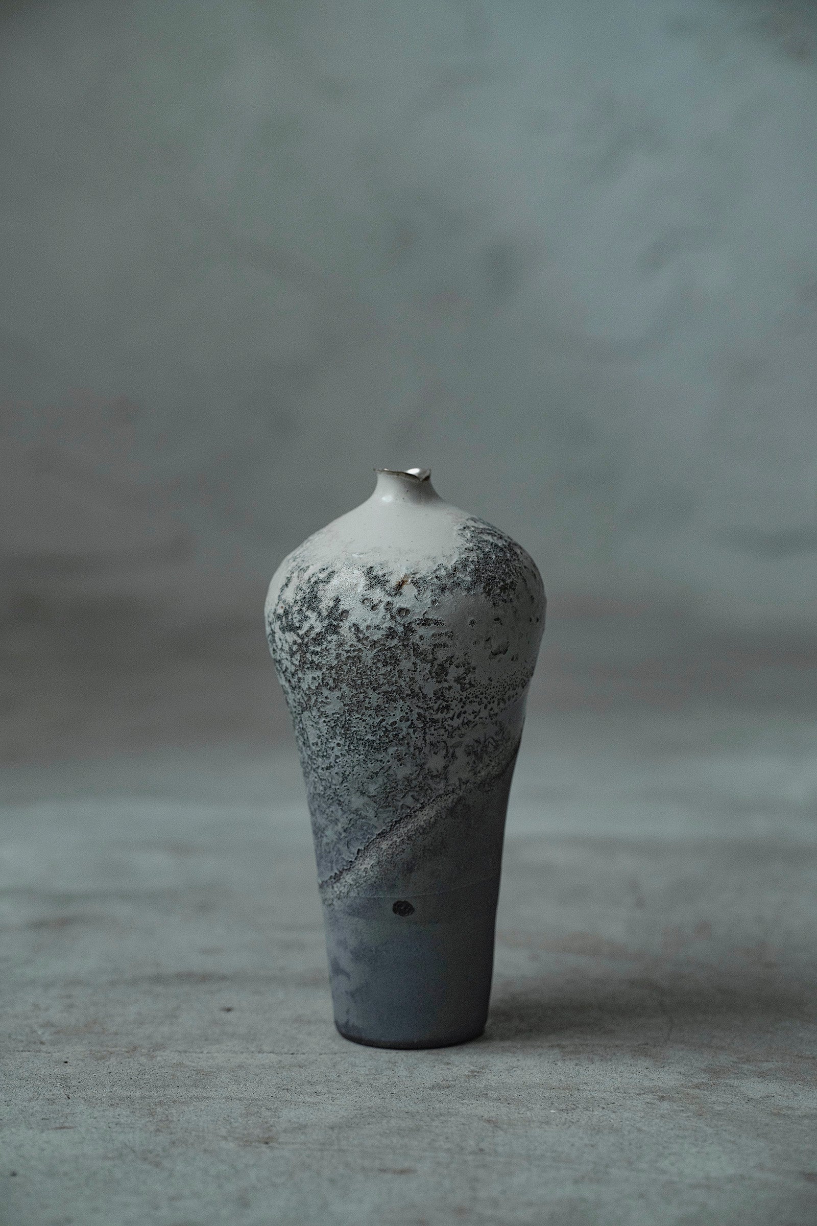 Ryuta Fukumura Silver Carbide Flower Vase 57
