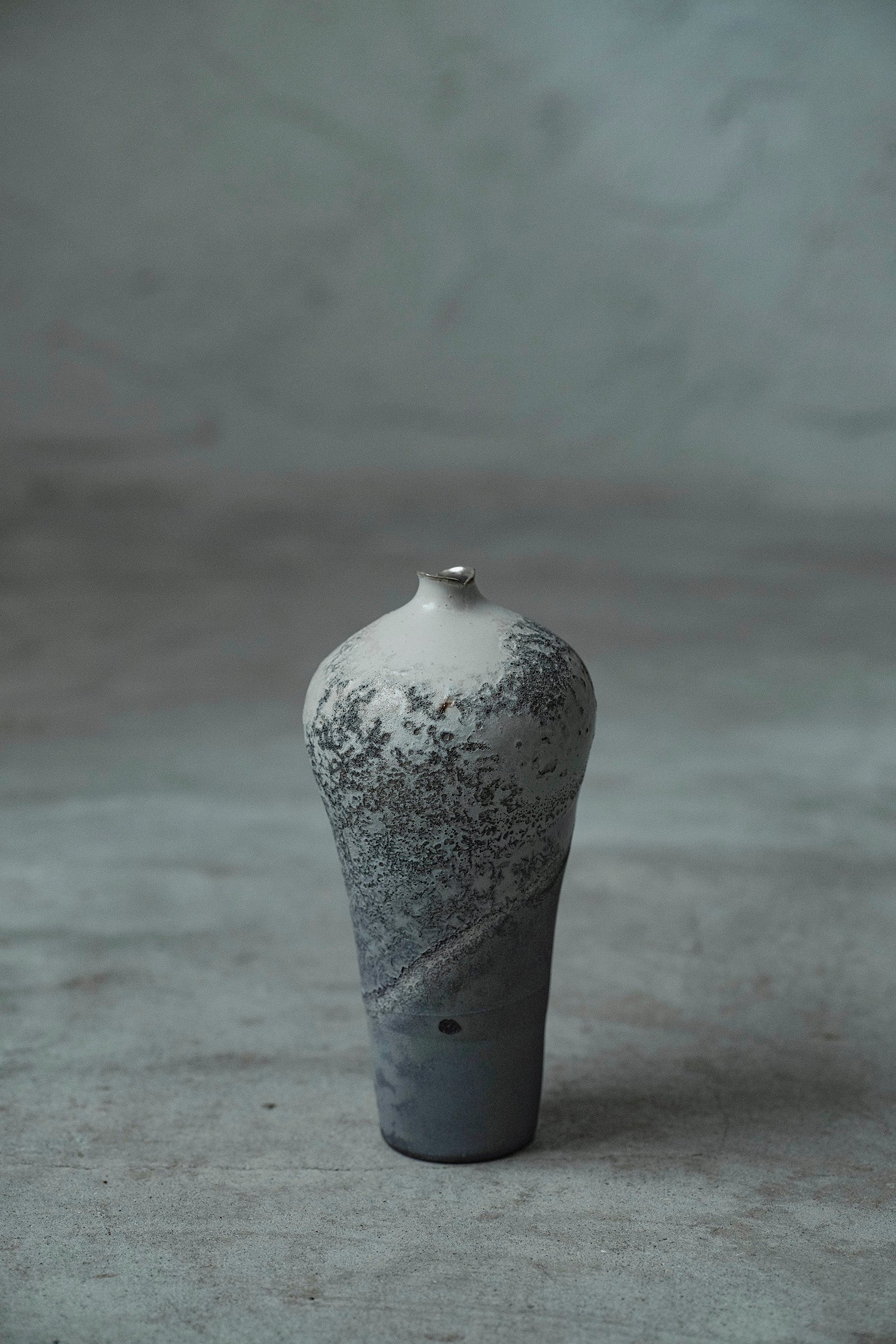 Ryuta Fukumura Silver Carbide Flower Vase 57