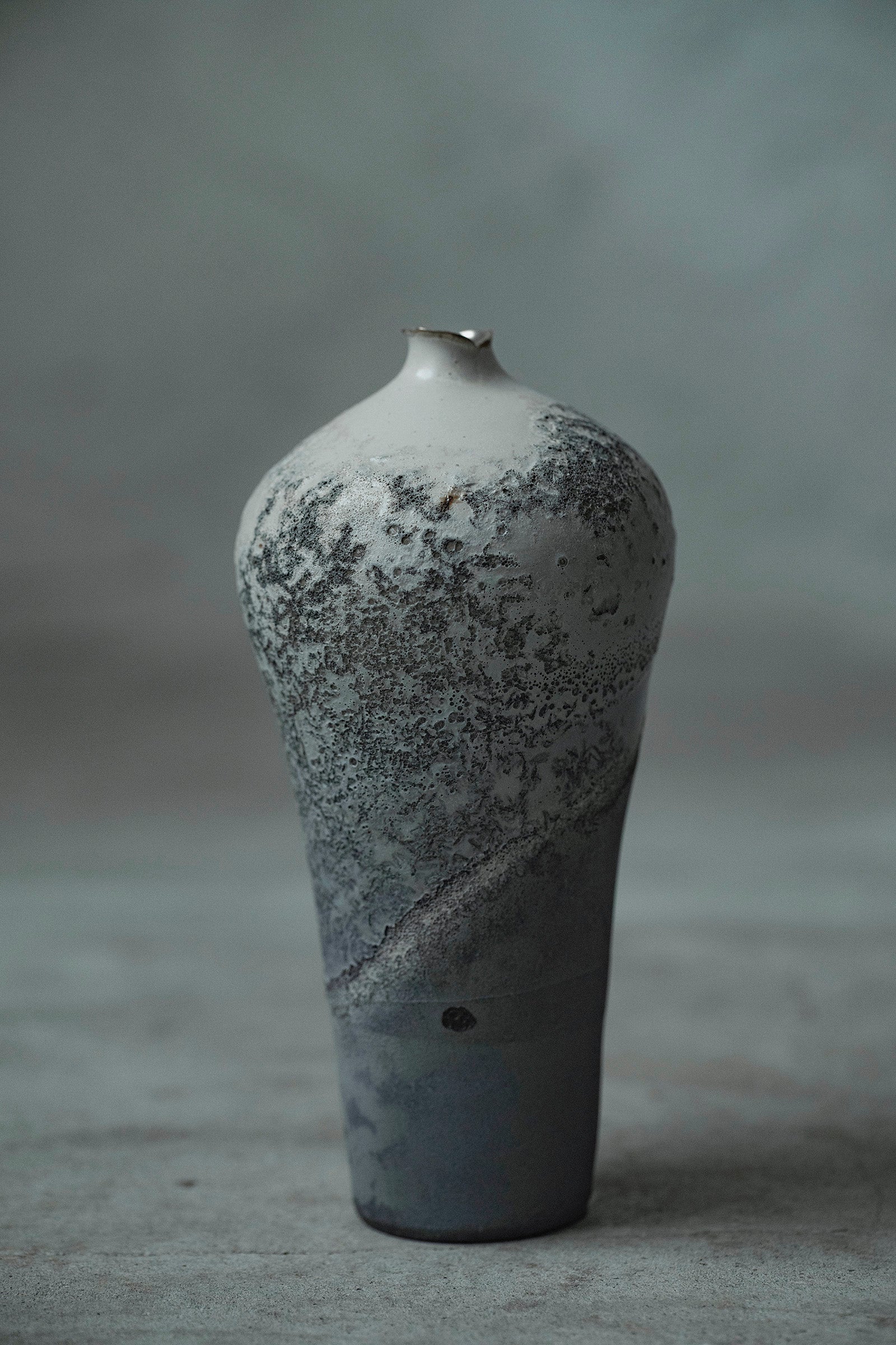 Ryuta Fukumura Silver Carbide Flower Vase 57