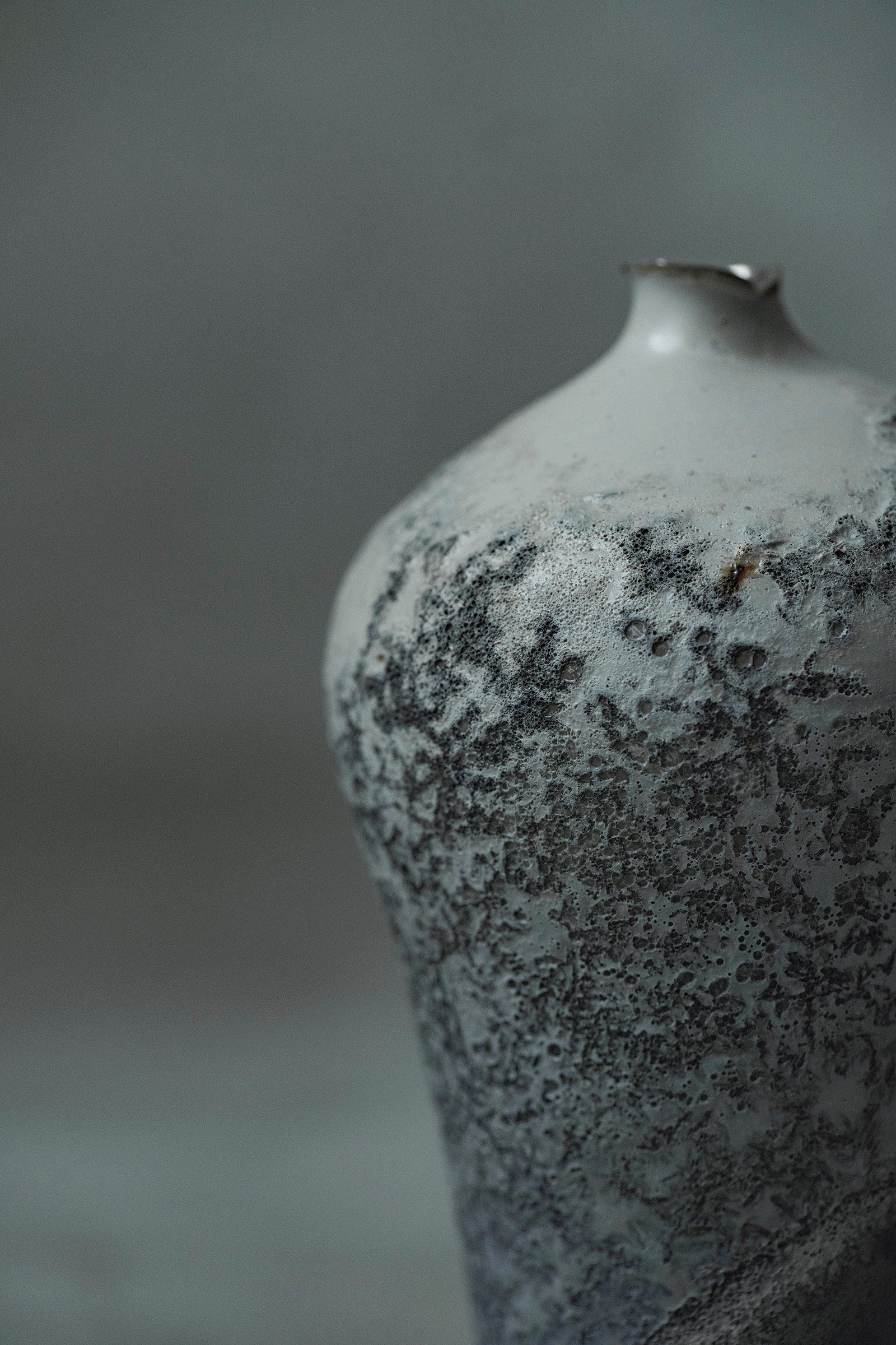 Ryuta Fukumura Silver Carbide Flower Vase 57