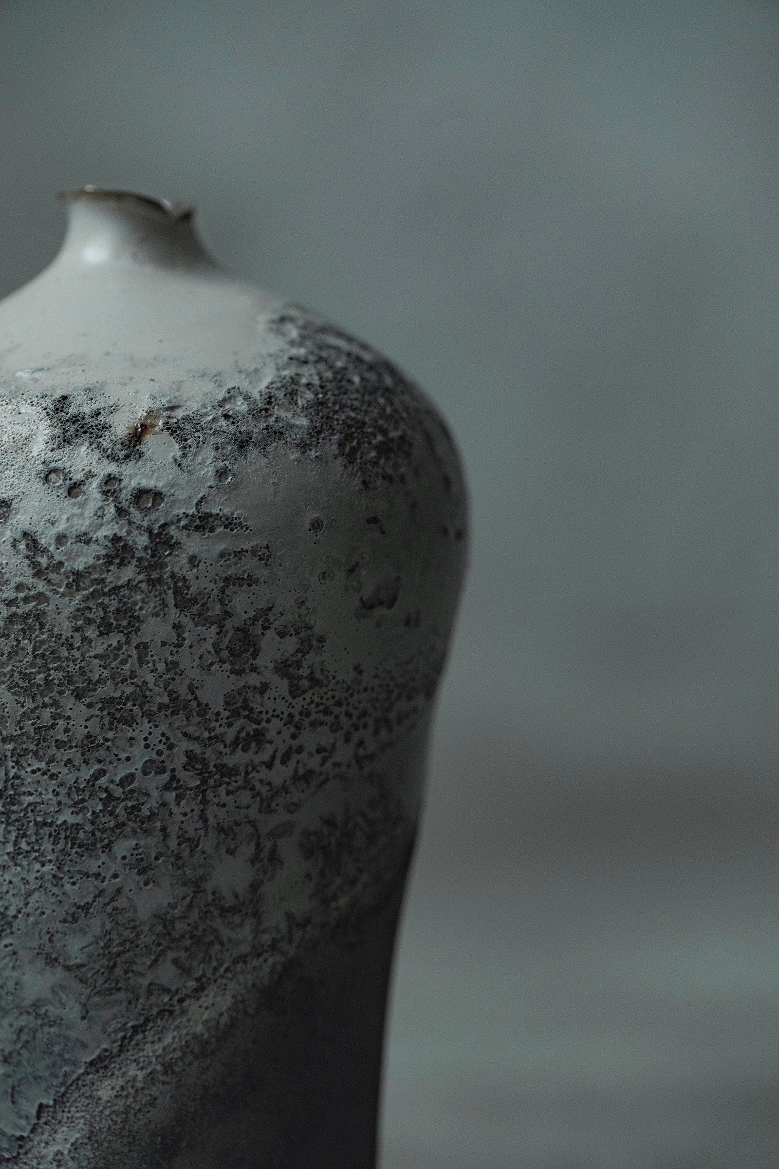 Ryuta Fukumura Silver Carbide Flower Vase 57
