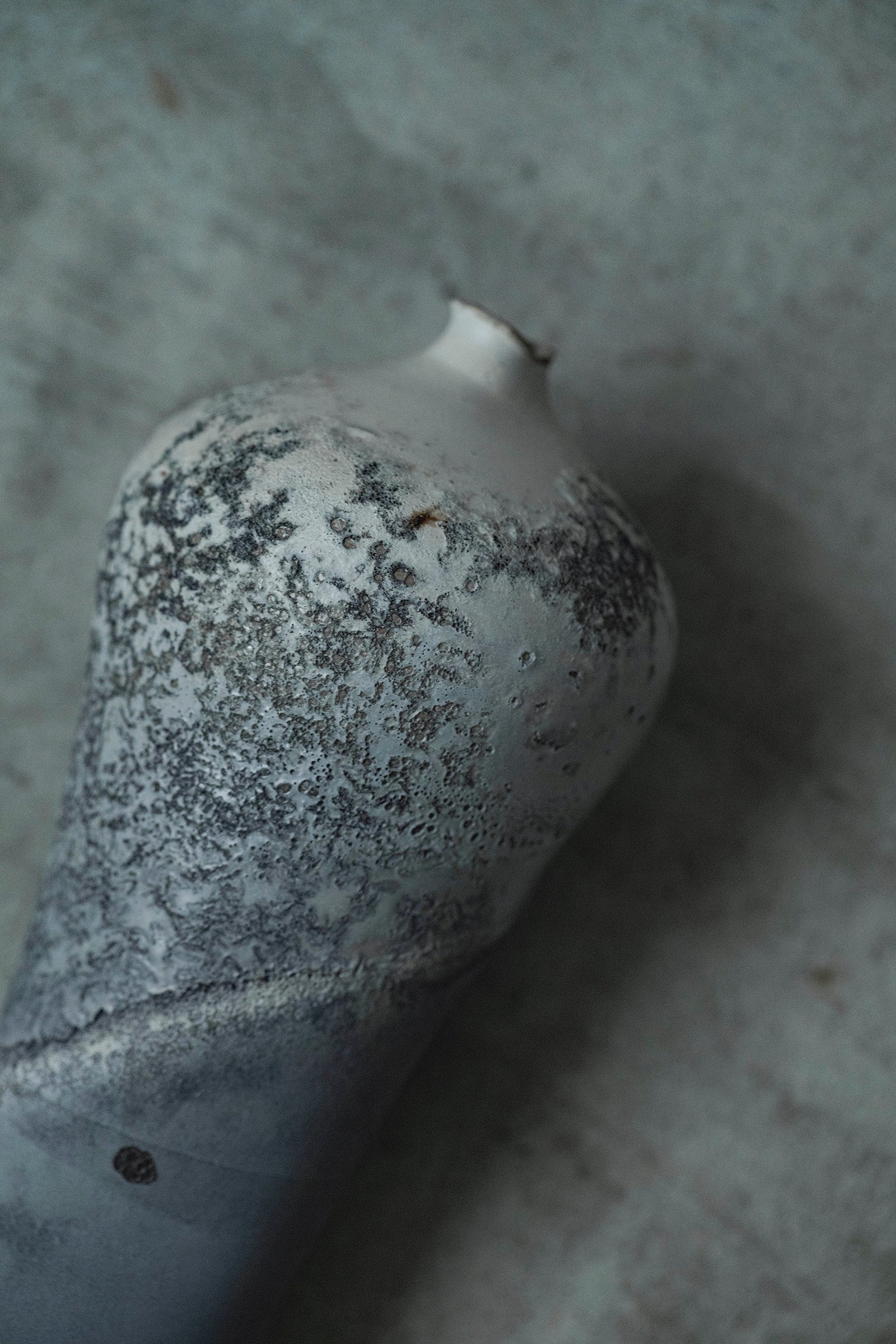 Ryuta Fukumura Silver Carbide Flower Vase 57