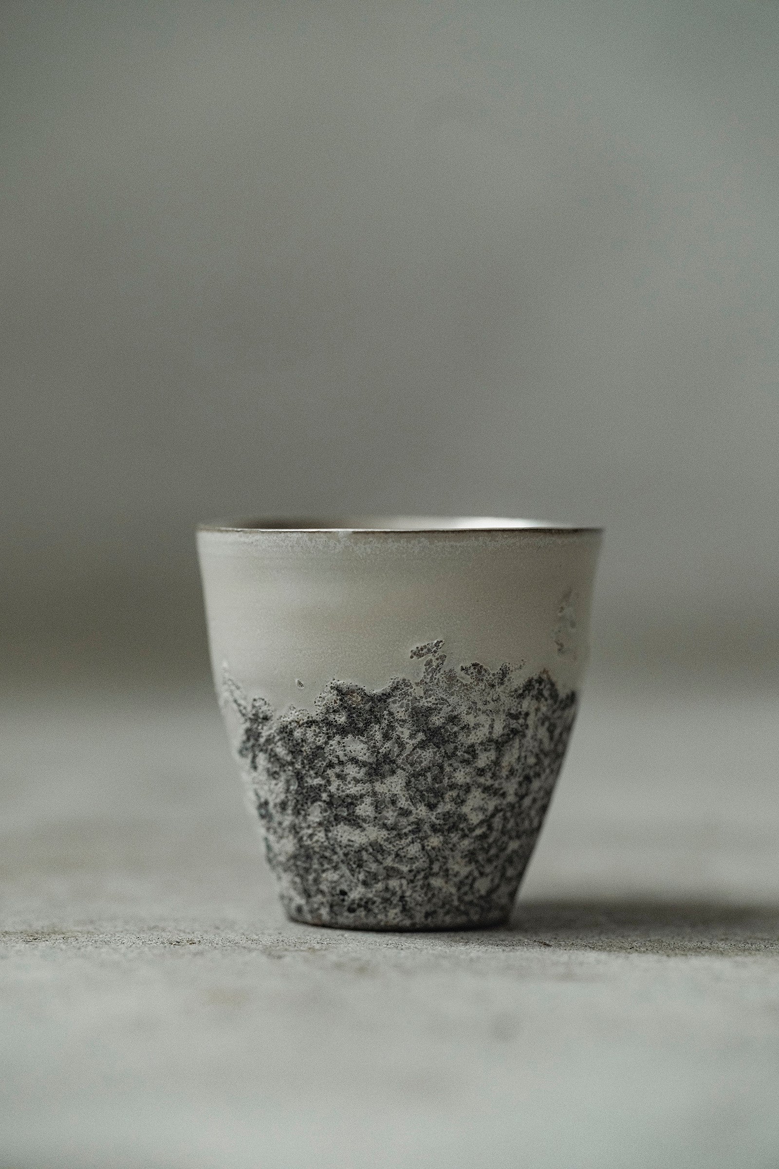 Ryuta Fukumura Silver Carbide Flower Vase 57