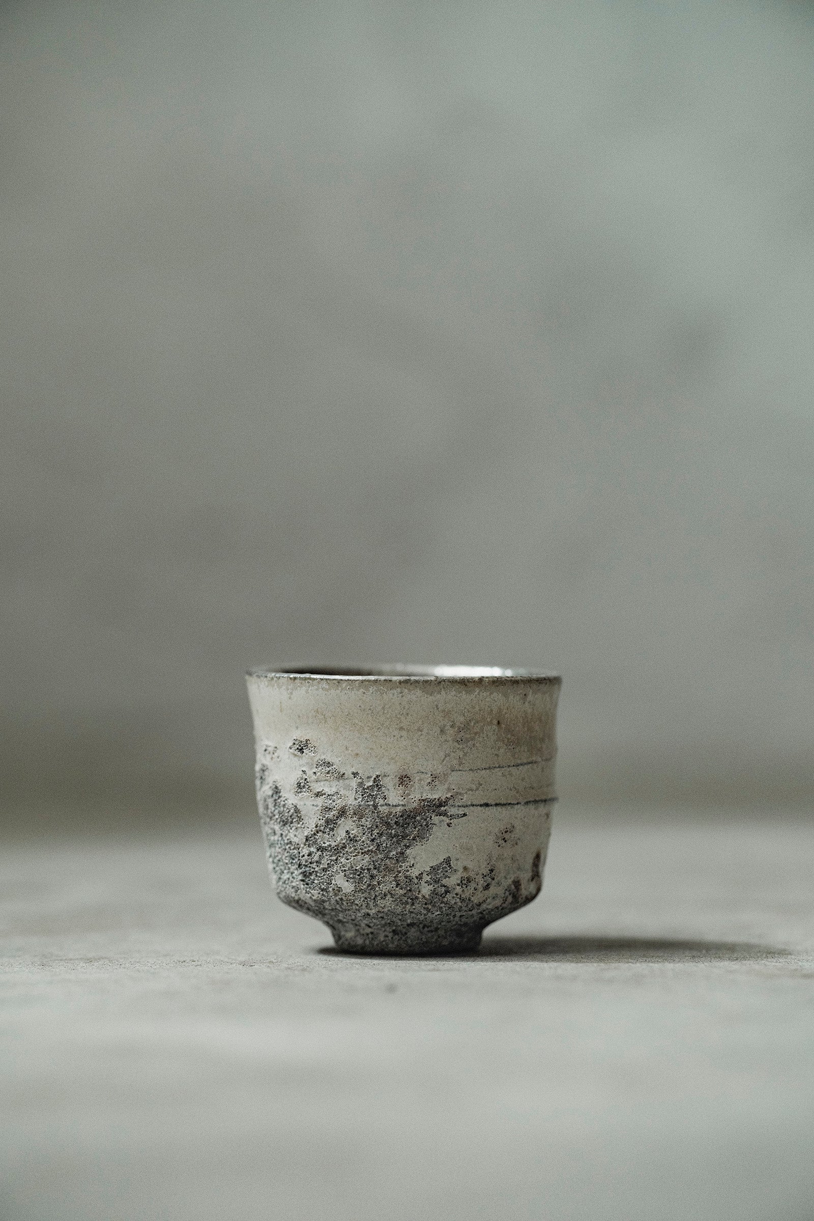 Ryuta Fukumura Silver Carbide Flower Vase 57