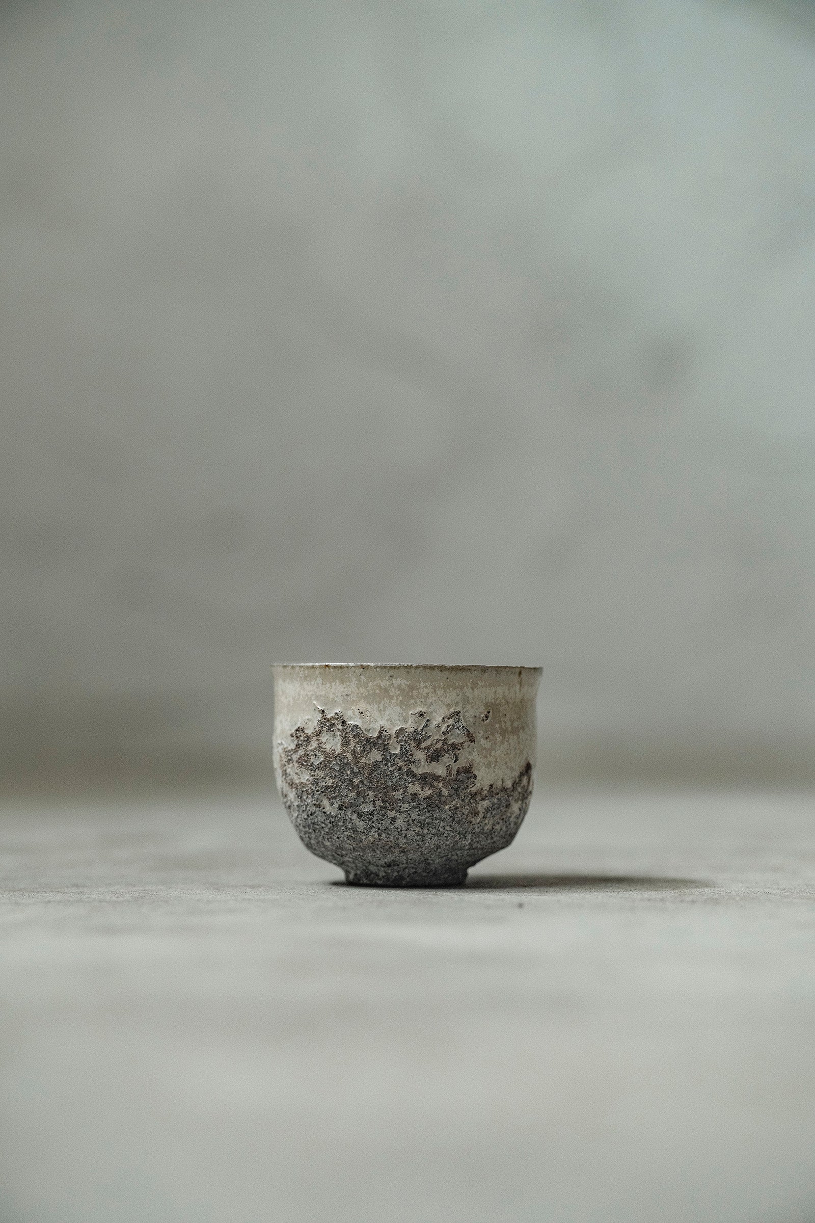Ryuta Fukumura Silver Carbide Flower Vase 57