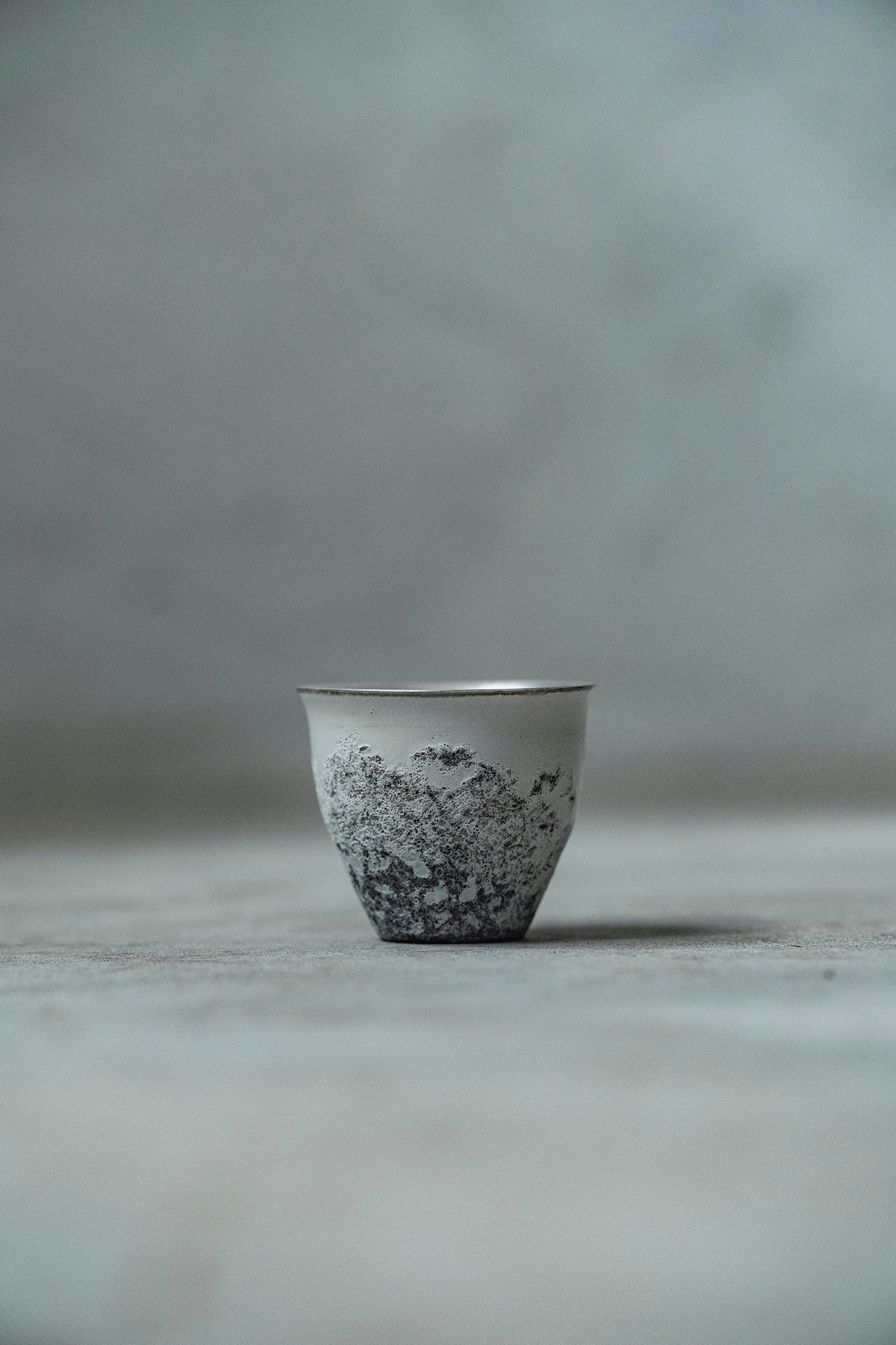 Ryuta Fukumura Silver Carbide Flower Vase 57