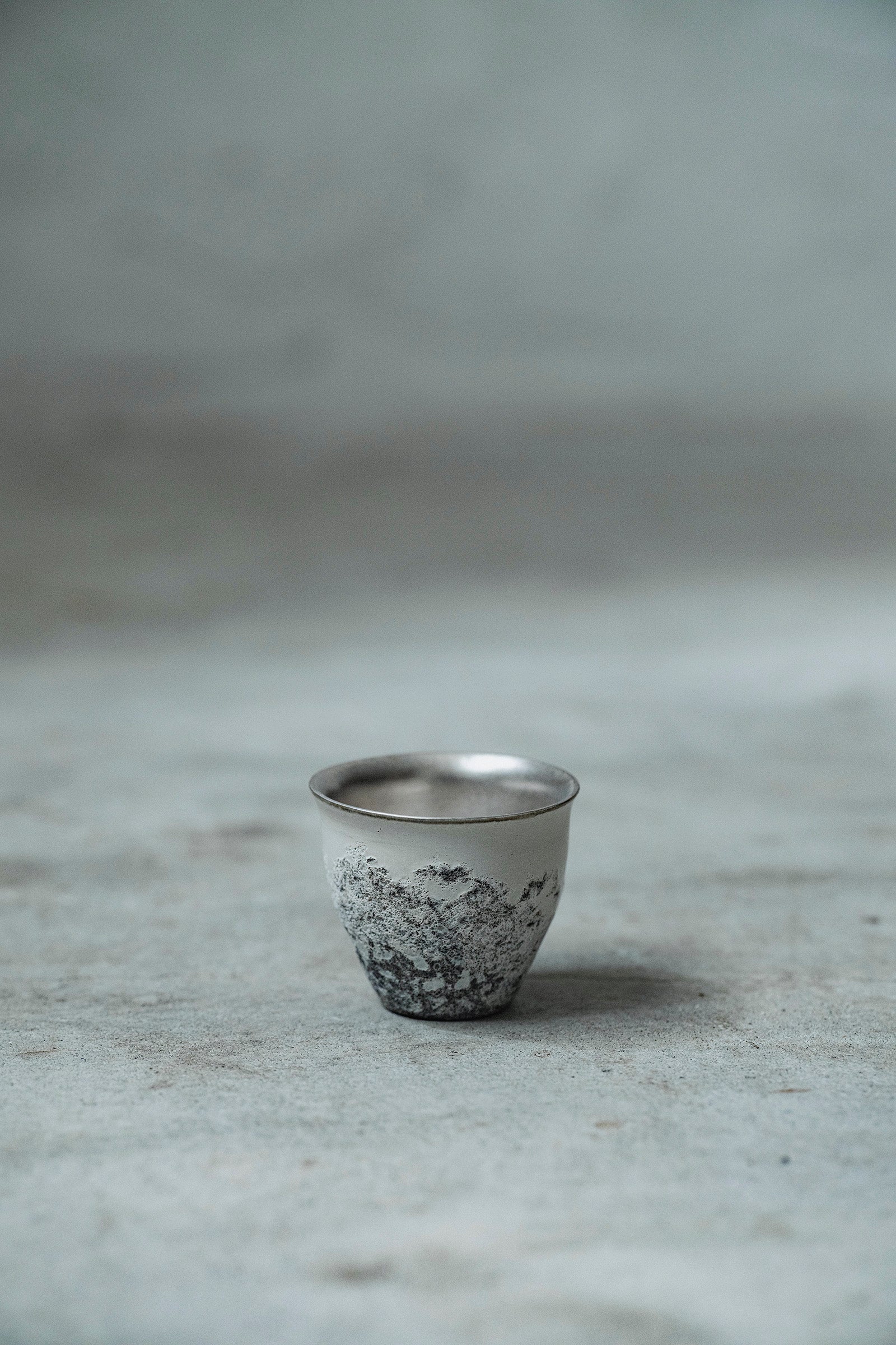 Ryuta Fukumura Silver Carbide Flower Vase 57
