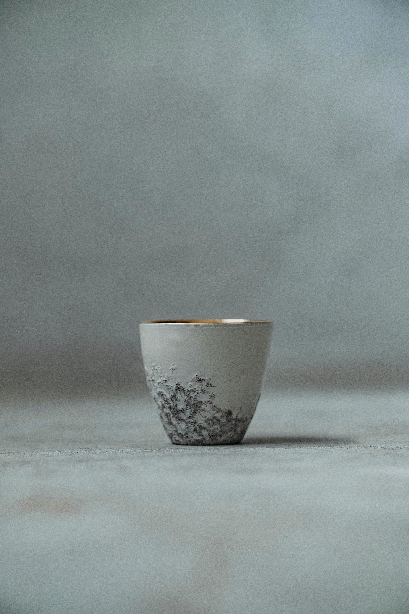 Ryuta Fukumura Silver Carbide Flower Vase 57