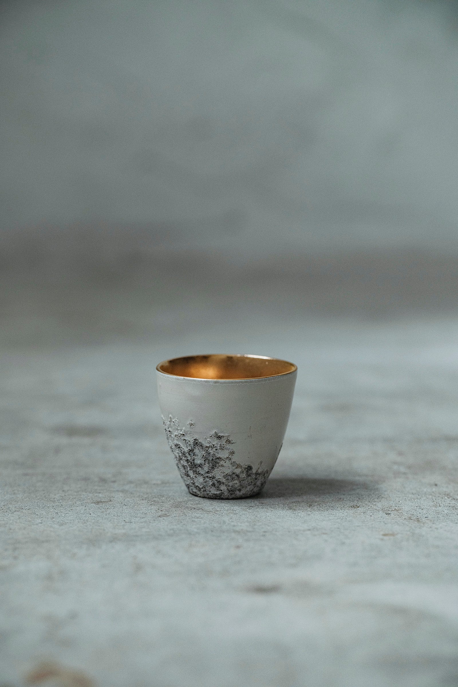 Ryuta Fukumura Silver Carbide Flower Vase 57