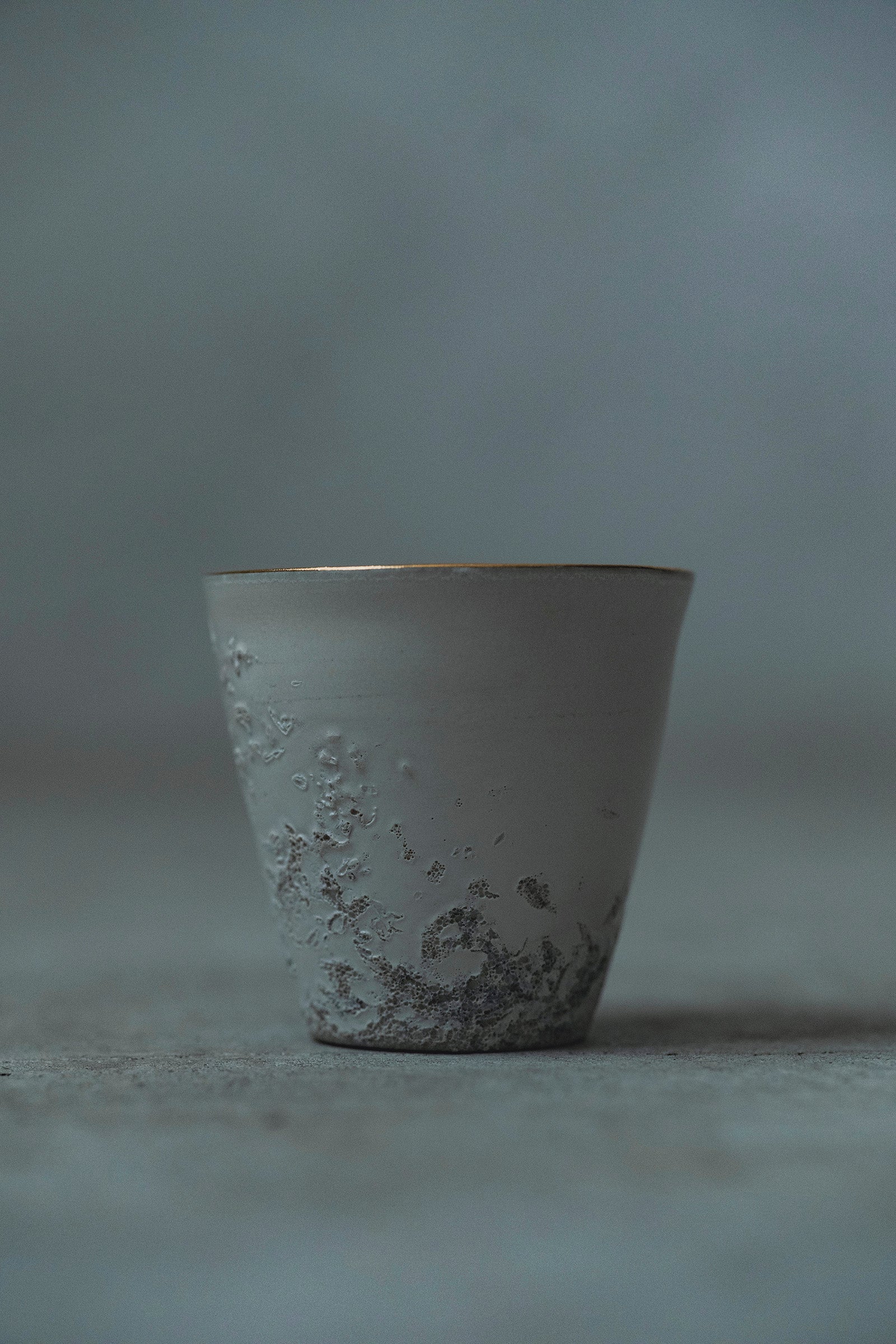 Ryuta Fukumura Silver Carbide Flower Vase 57
