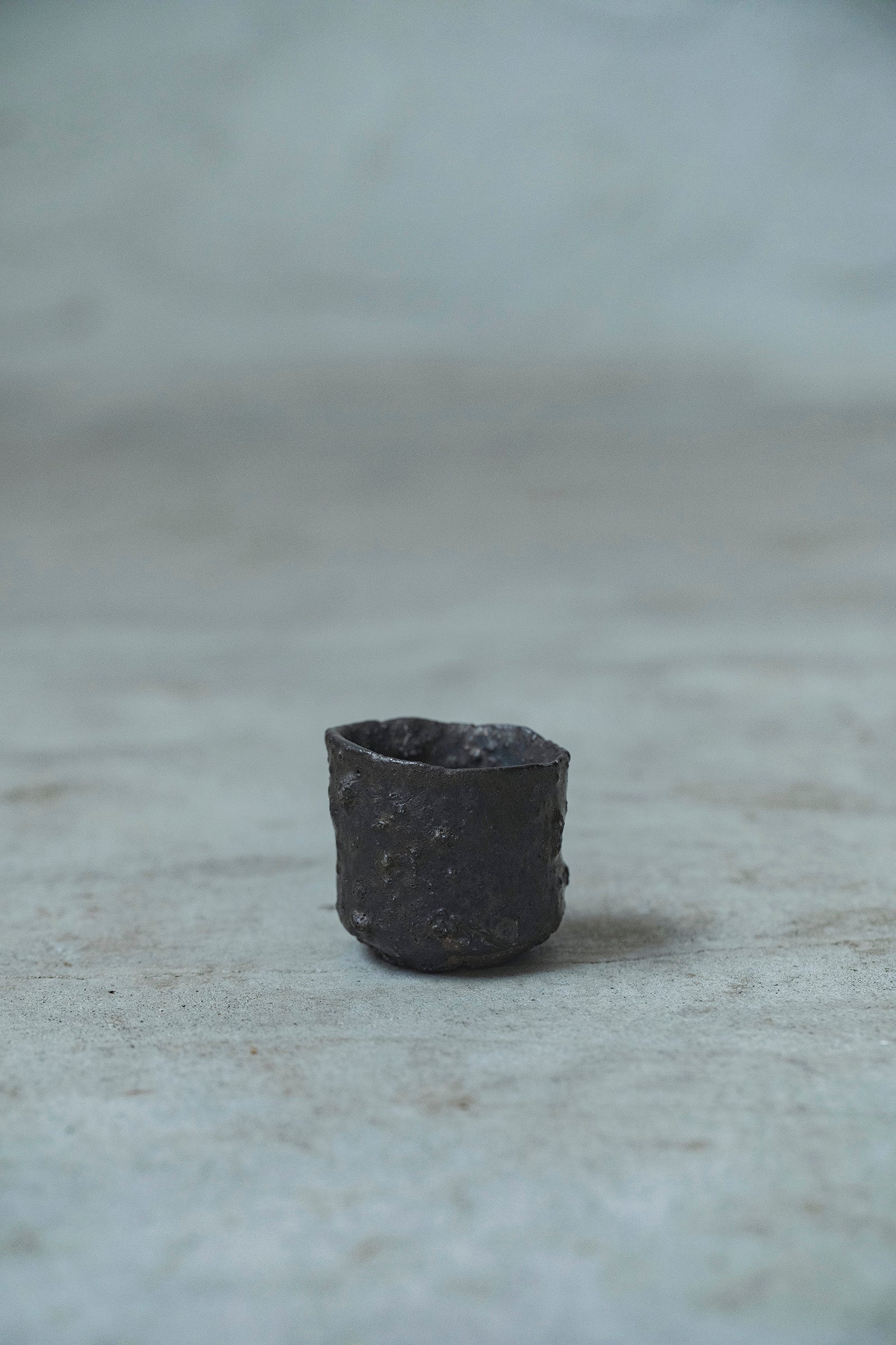 Ryuta Fukumura Silver Carbide Flower Vase 57