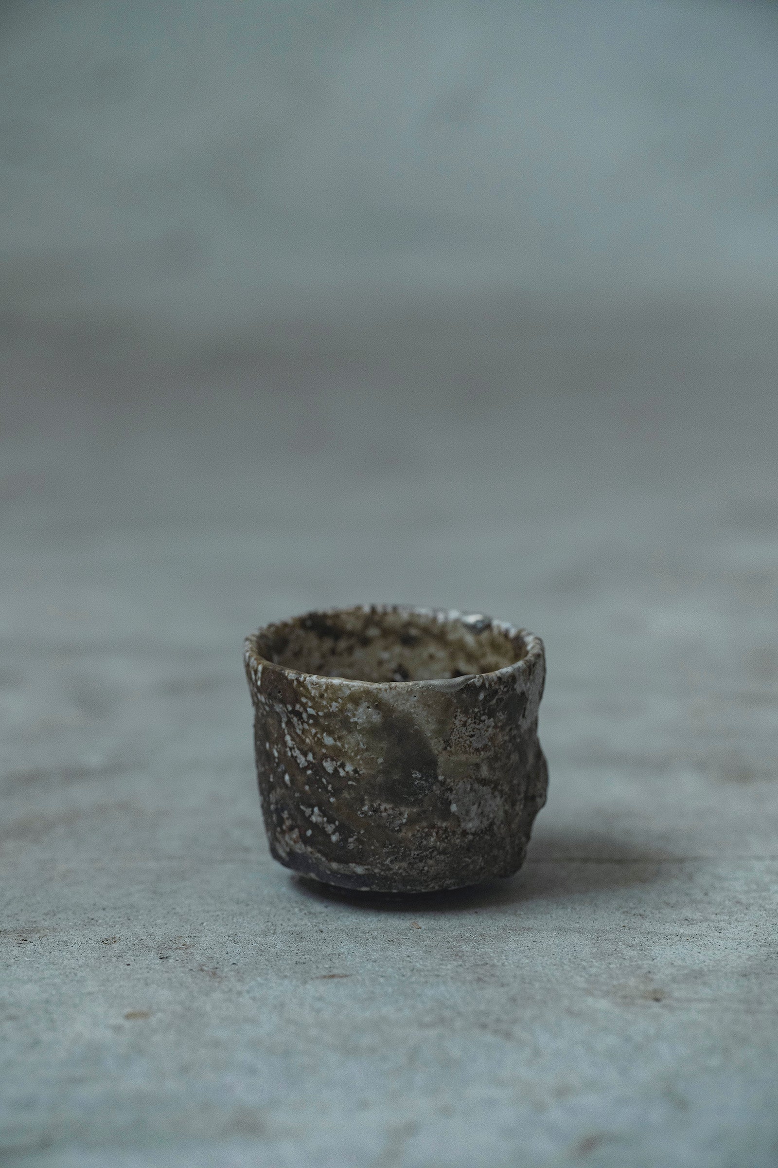 Ryuta Fukumura Silver Carbide Flower Vase 57
