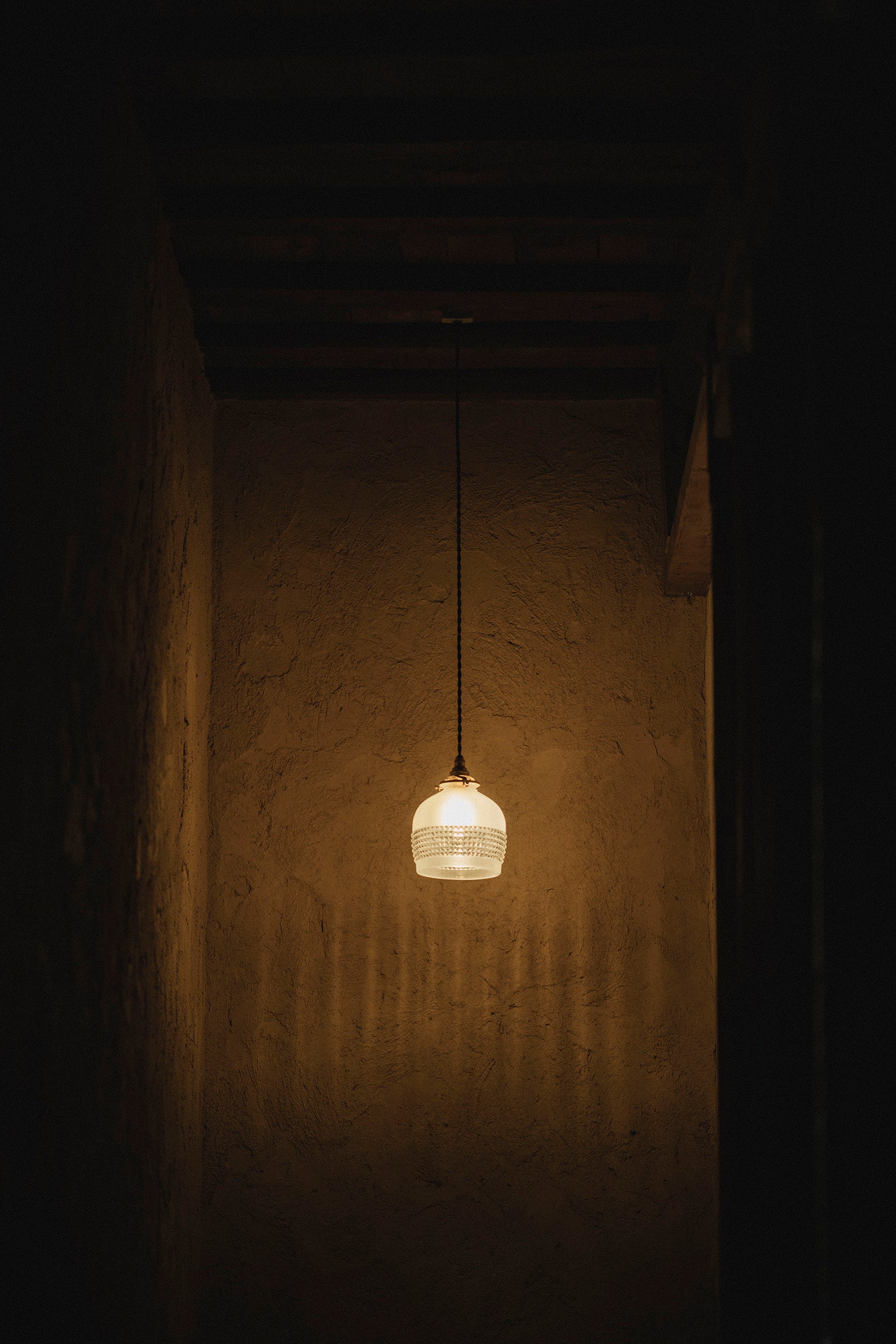 西垣 聡  Highlights lamp shade