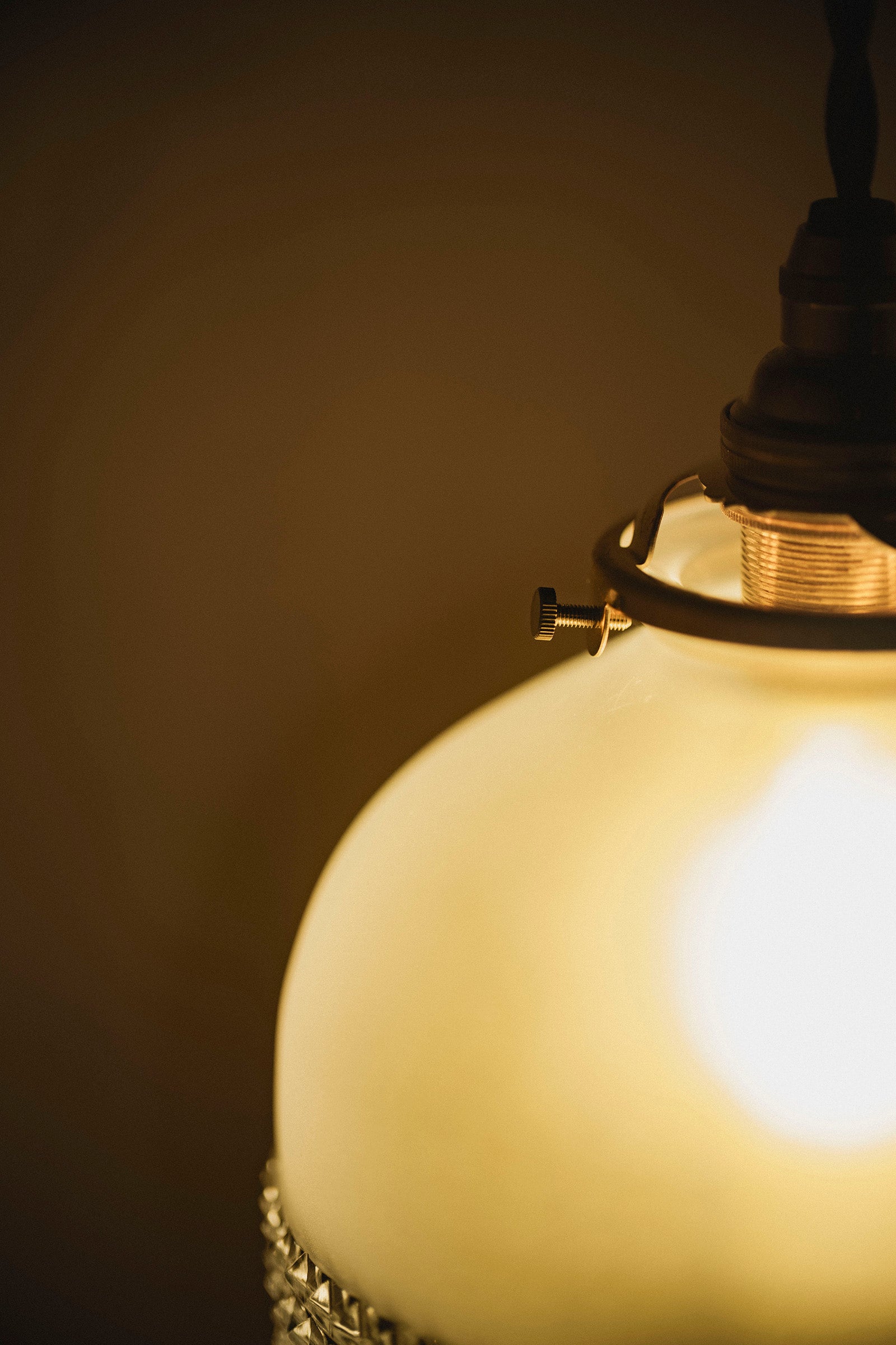 西垣 聡  Highlights lamp shade