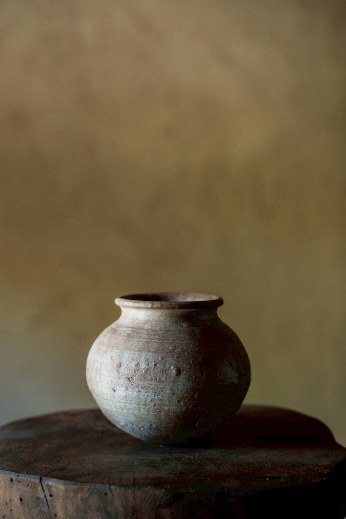Shelf 01 